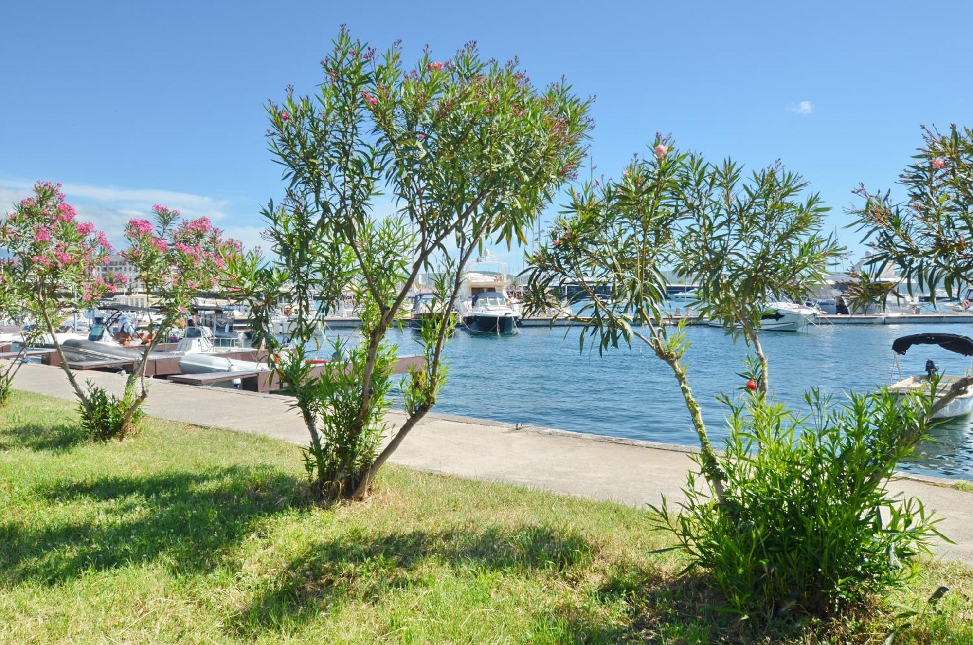 Trojanovic Appartement Tivat